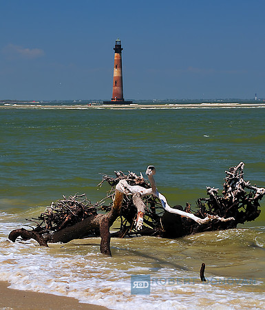 Morris Island Lighthouse and driftwood