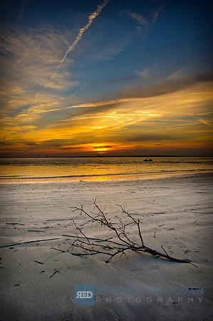 Twiggy Sunset