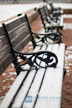 Benches in Charleston Snow