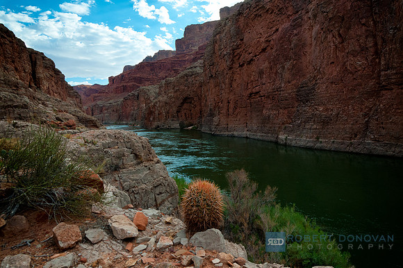 Grand Canyon 2013 RCD_2749_50