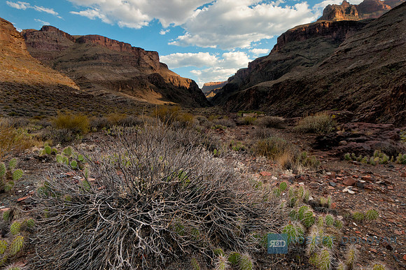 Grand Canyon 2013 RCD_3290_1